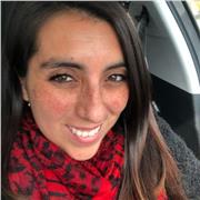 Dicto clases para illustrator Básico, Medio o avanzado